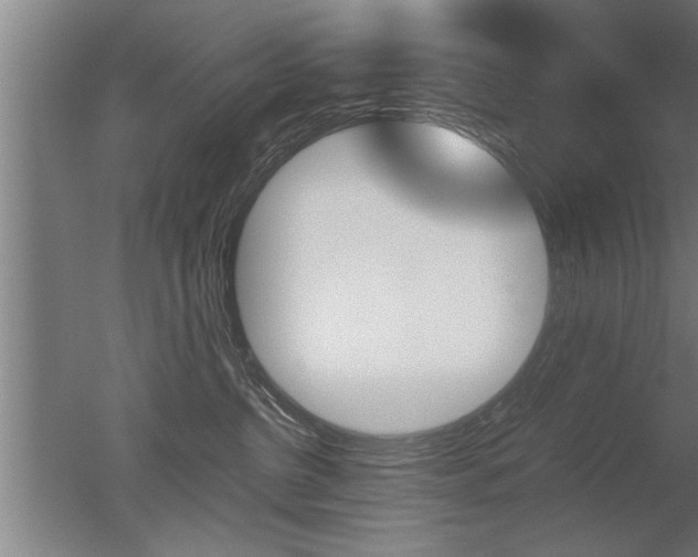 X0000051240380200506170822