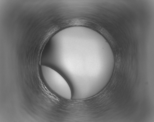X0000051240386200506170821