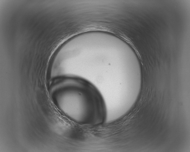 X0000051240387200506170821