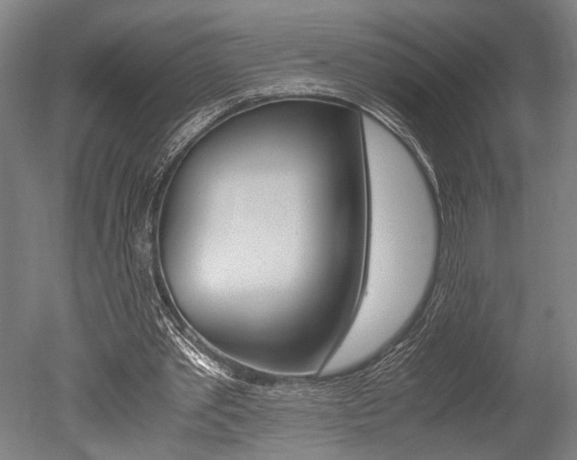 X0000051240389200506170821