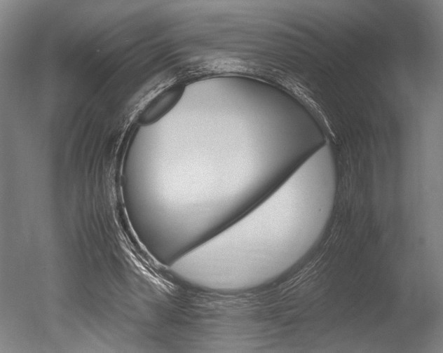 X0000051240390200506170821