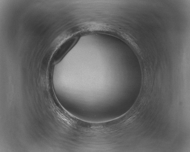 X0000051240391200506170821