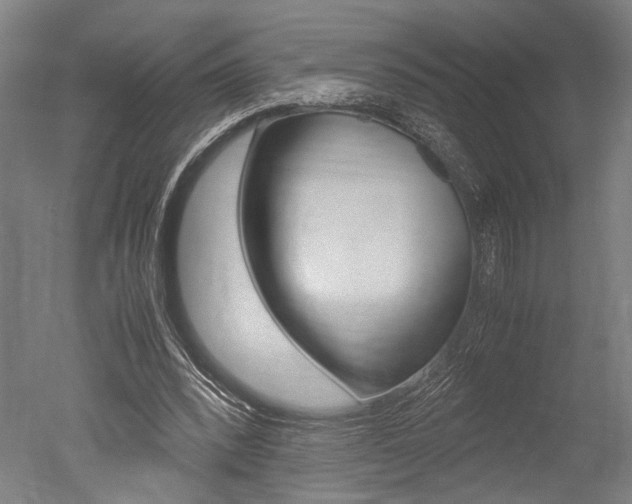 X0000051240392200506170821