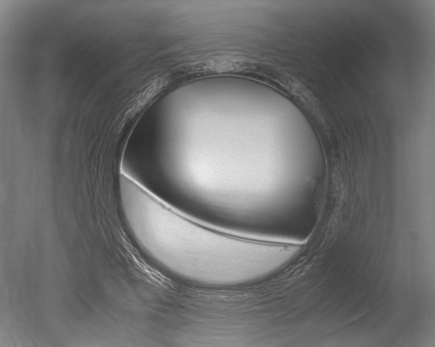 X0000051240393200506170821