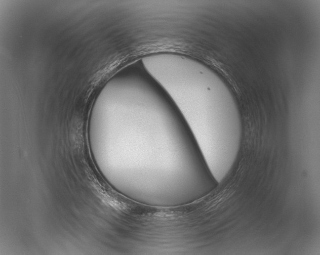 X0000051240394200506170821