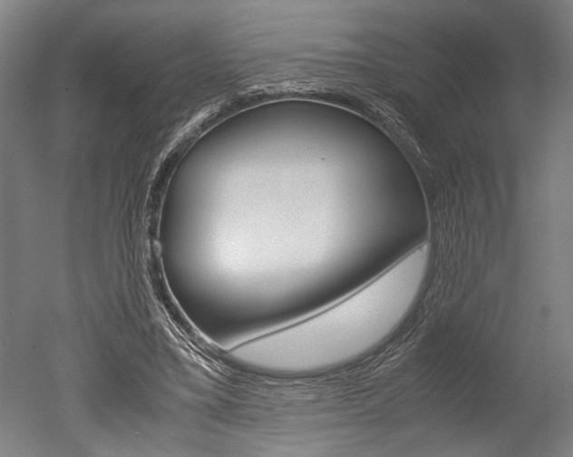 X0000051240395200506170821