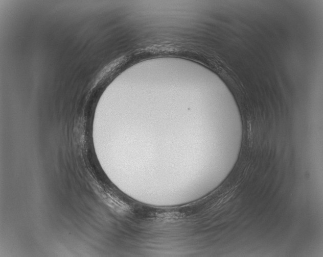 X0000051240396200506170821