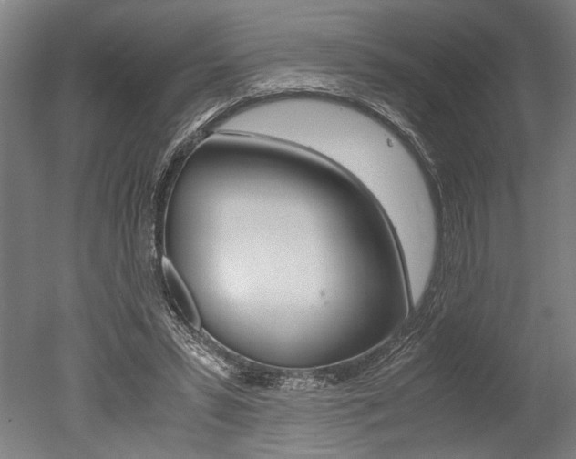 X0000051240399200506170821