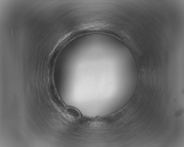 X0000051240400200506170821
