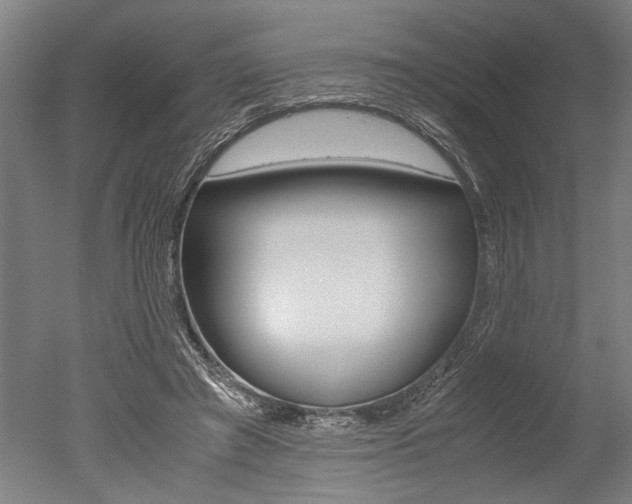X0000051240401200506170821