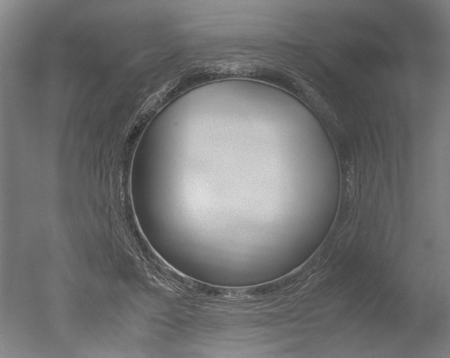 X0000051240403200506170821