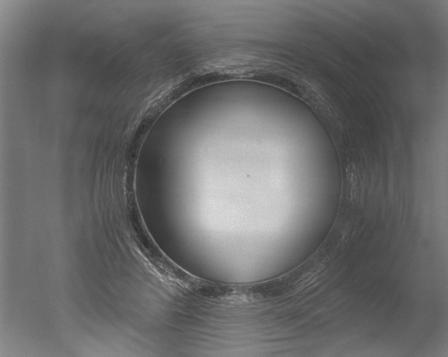 X0000051240404200506170821