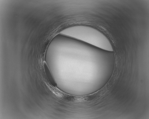 X0000051240405200506170821
