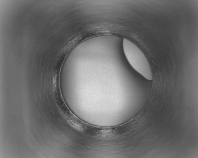 X0000051240406200506170821