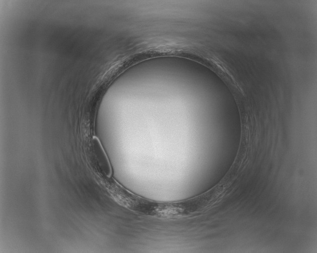 X0000051240407200506170821