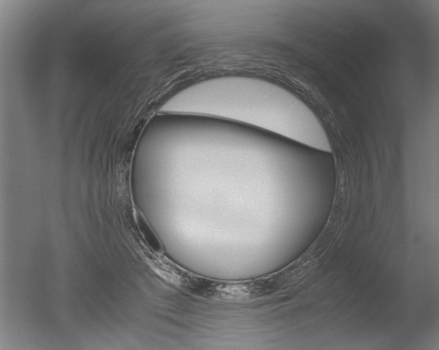 X0000051240409200506170821