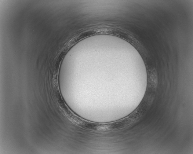 X0000051240411200506170821