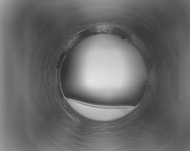 X0000051240413200506170821