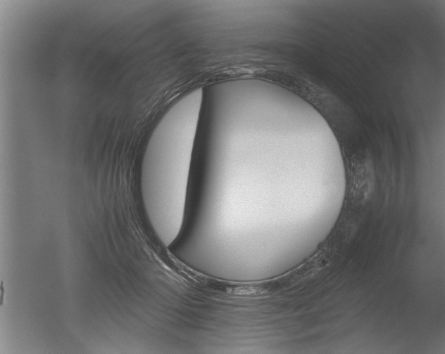 X0000051240414200506170821