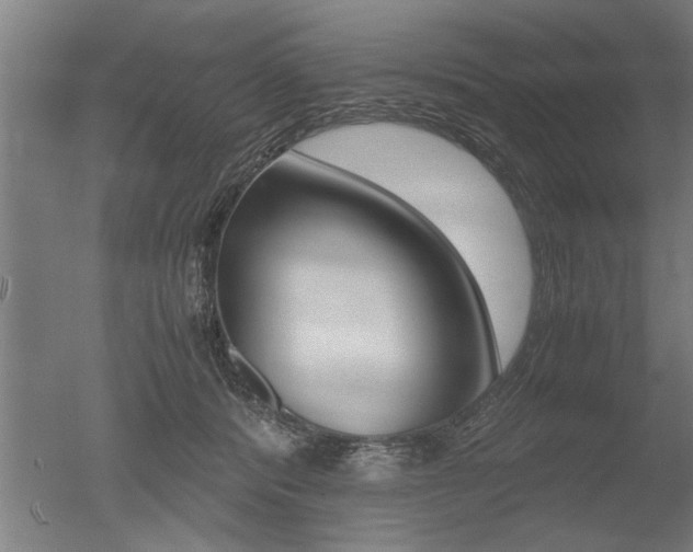 X0000051240416200506170821