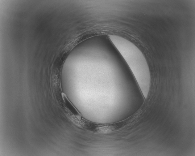 X0000051240417200506170821