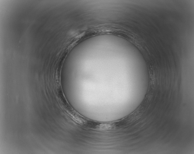 X0000051240418200506170821
