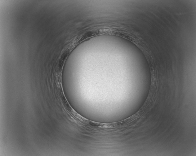 X0000051240419200506170821