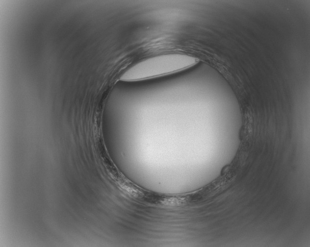 X0000051240422200506170821