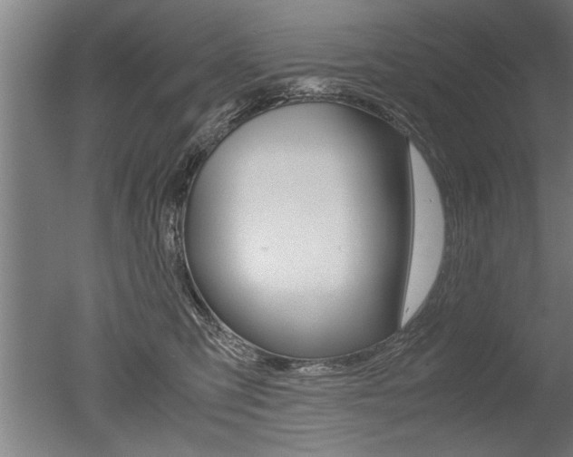 X0000051240423200506170821