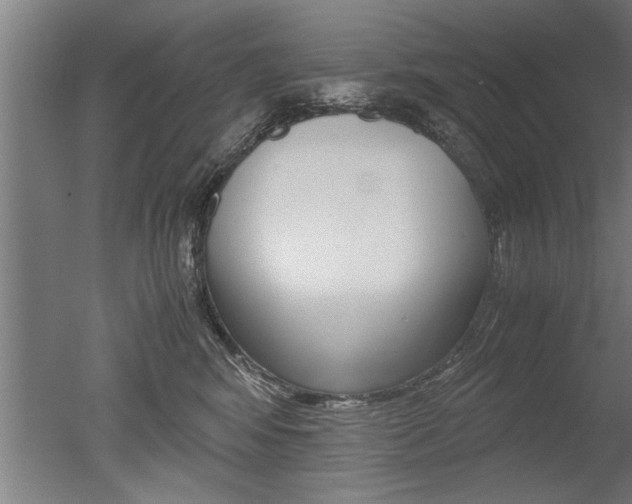 X0000051240424200506170821