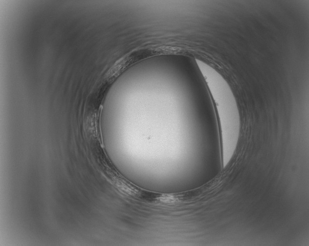 X0000051240425200506170821