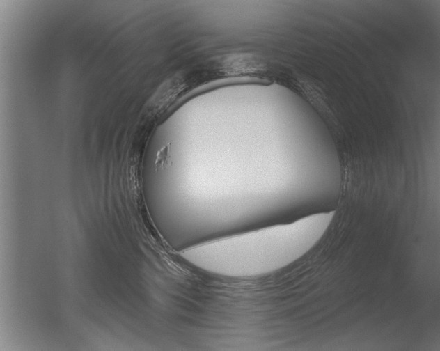 X0000051240426200506170821