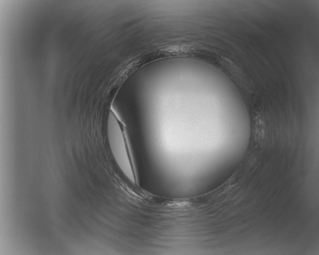 X0000051240428200506170821