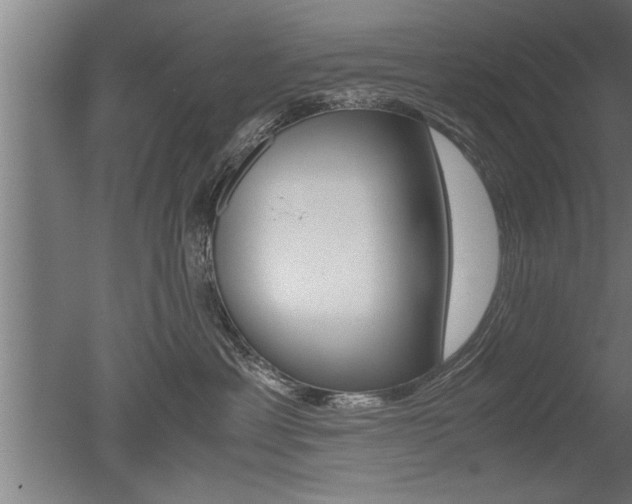 X0000051240429200506170821