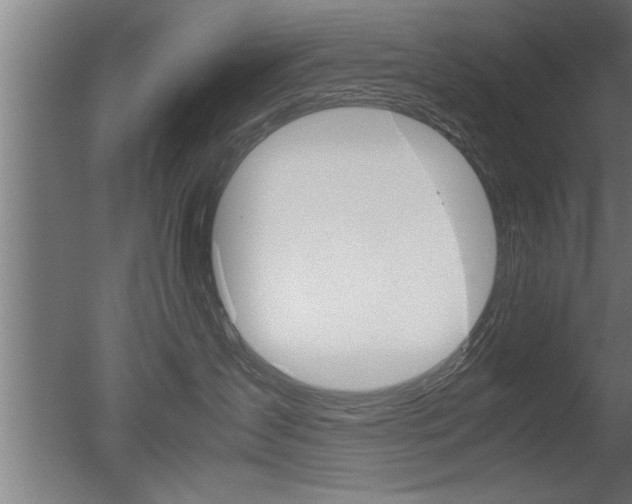 X0000051240431200506170821