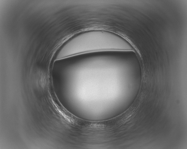 X0000051240437200506170820