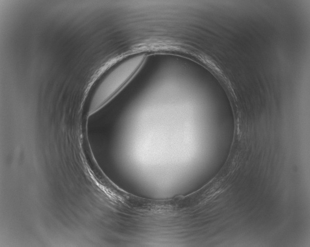 X0000051240438200506170820