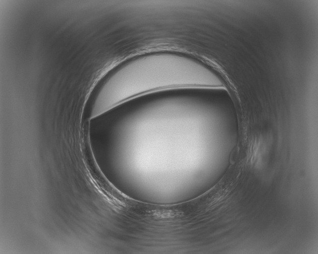 X0000051240439200506170820