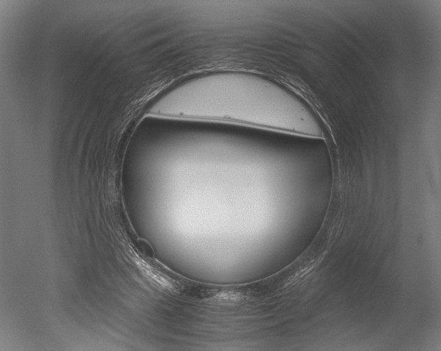 X0000051240441200506170820