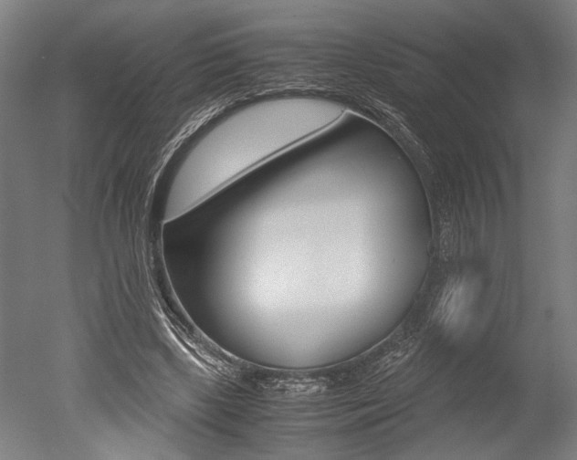 X0000051240443200506170820