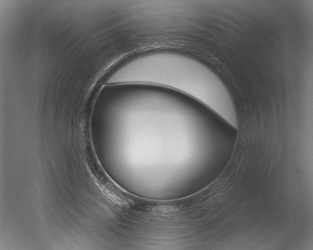 X0000051240444200506170820