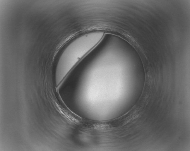 X0000051240446200506170820