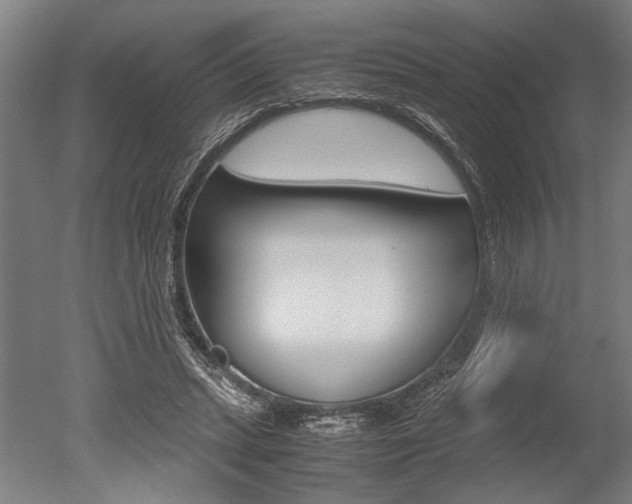 X0000051240447200506170820