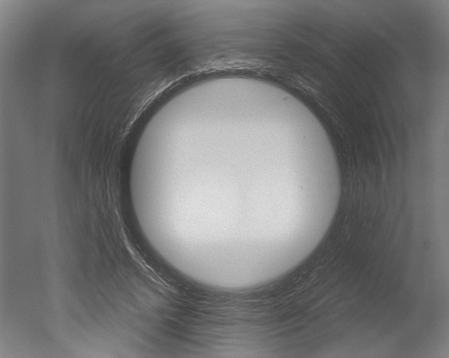 X0000051240448200506170820