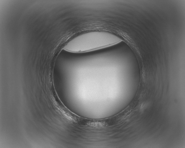 X0000051240449200506170820