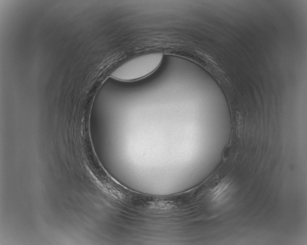 X0000051240451200506170820