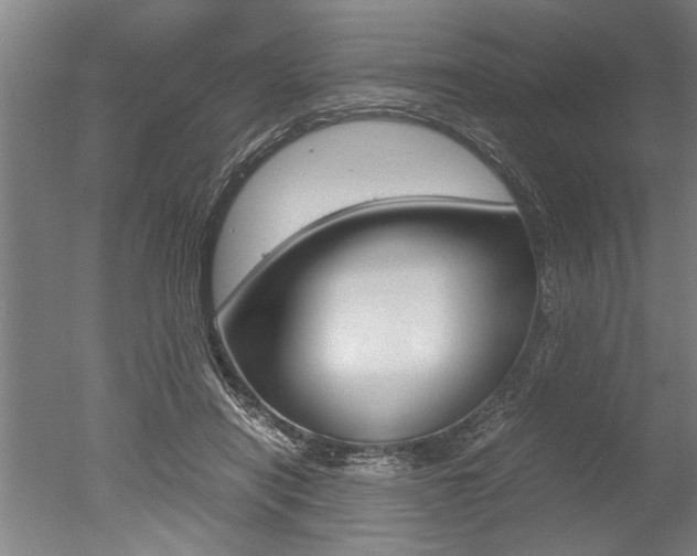 X0000051240454200506170820