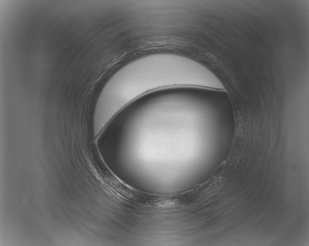 X0000051240456200506170820