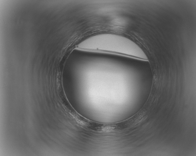 X0000051240462200506170820