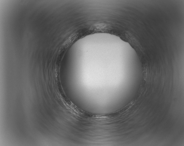 X0000051240472200506170820